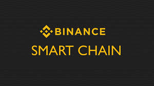 Binance trading tutorial for beginners. Coming Soon Binance Smart Chain Bnb Staking