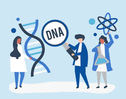 Une nouvelle étude danoise publiée dans la revue scientifique neurology suggère que l'apparition de la sclérose en plaque peut être accélérée ou ralentie selon deux différents facteurs. Sclerose En Plaques Une Approche Epigenetique