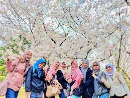 Kerana kecantikan musim luruh dan cuaca sejuk pada musim itu mendorong kami lebih memilih tambahan pula, pada tarikh dan bulan berkenaan adalah paling sesuai untuk kami melancong senarai lokasi tarikan pelancong di seoul korea. Pakej Korea 2020 Murah Terbaik Dari Rm2897 Include Flight