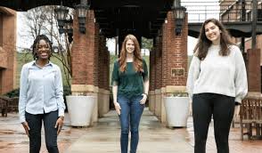 Greer Schuman, Author at The Council