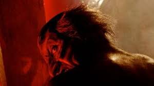 Nem sokkal ezután kisfiúk balesetet szenved és kómába esik. The Man With The Fire In His Face Insidious Wiki Fandom