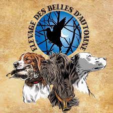 M andre bertrand adresse : Elevage Des Belles D Automne Accueil Facebook