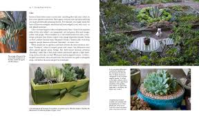 Judged show of the cactus and succulent society of hawaii on august 3, 2019 at the halawa xeriscape garden. Succulent Container Gardens Design Eye Catching Displays With 350 Easy Care Plants Baldwin Debra Lee 8601405656711 Amazon Com Books