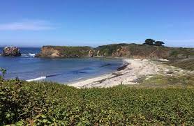 The campground has limited shade and privacy, although a handful of sites are. Andrew Molera State Park Hiking Camping Horseback Rides