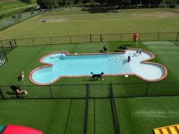 Happy Paws Pet Resort Orlandos First And Only Inground Pool For Dogs Pet Resort Dog Boarding Kennels Dog Boarding Facility