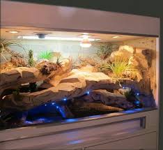 Pin By Malgorzata Dama On Zolwie Reptile Terrarium Bearded Dragon Terrarium Bearded Dragon Terrarium Diy