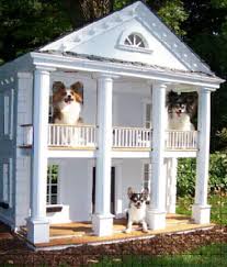 339 Pet Friendly Apartments For Rent In San Diego Ca From Apartmentlist Com Dog Houses Cool Dog Houses Dog Rooms