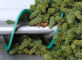 Risultati immagini per diraspatura dell'uva