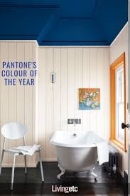 Pantone Reveals Its Colour Of The Year 2020 Livingetc In 2020 Painting Bathroom Painted Ceiling Bathroom Ceiling