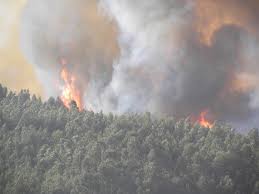 Incendios Voltam A Monchique 10 Meios Aereos E 155 Bombeiros No Combate Ao Final Da Tarde