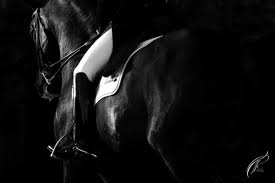 Download and use 100+ dressage stock photos for free. Free Download Black And White Dressage By Cobertizo On Deviantart 600x400 For Your Desktop Mobile Tablet Explore 67 Dressage Wallpaper Dressage Wallpaper