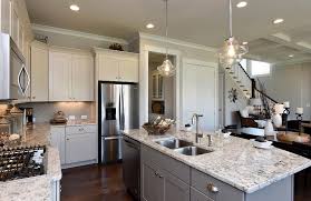 Kitchen With Large Serving Island The Buchanan Floor Plan Drees Homes Raleigh Luxury House Designs Building A New Home Home Upgrades