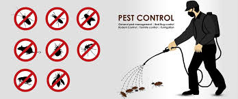 We are providing bed bug control services for all commercial and industrial spaces. Tpc Pest Control Pest Control Mumbai Best Pest Control Service Mumbai