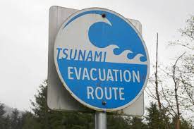 Modern warning systems are precise but unfortunately cannot be fast enough for warning of a quake close to the shoreline. Tsunami Warnings 101 Canada Cowichan Valley Citizen
