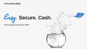 Financial advisor job summary a great job description starts with a compelling summary of the position and its role within your company. Bdo Projects Consultancy Org