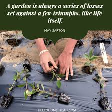 Best gardening quotes selected by thousands of our users! 10 Gardening Quotes That We Love Hello Homestead