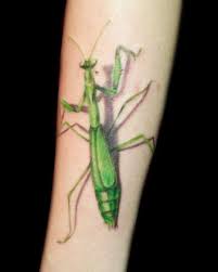 Overwhelmingly in most cultures the mantis is a symbol of. A Tattoo Is A Permanent Ink Design Inserted Into The Skin Usually With A Needle Description From Inspiredbeep Com I Mantis Tattoo Insect Tattoo Body Tattoos