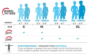 29 Correct Polygon Road Bike Size Chart