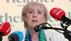 Rescued Flora Seeks A New Home