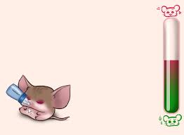 FAQ Cromimi - Quelle est l'évolution du bébé cromimi à l'adolescence ?