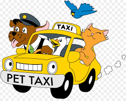 Pin On Pet Pros Services