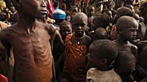 Seit wann es menschen eigentlich gibt, zeigen der vormensch lebte in afrika und konnte bereits aufrecht gehen und einfachste werkzeuge benutzen. Zu Viele Menschen Hat Die Erde Ihre Tragfahigkeit Erreicht Welt