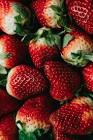 Hitac Trading & Exporting Vegetables & Fruits - شركه هيتاك للتجاره