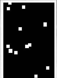 Papers in New Guinea Linguistics No. 5