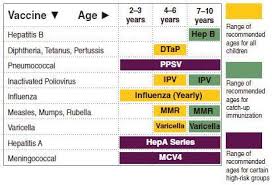 Recommended Vaccination Schedule From Two To Ten Years