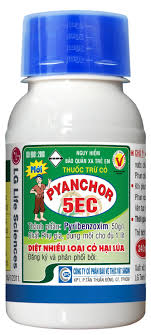Pyanchor 5EC