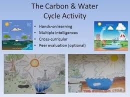 Water And Carbon Cycle Diagram Activity Bring Out Their Creativity Life Science Activities Carbon Cycle Fun Education