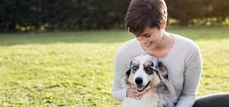 Find an affordable pet sitter today! Pet Sitters International The Leading Pet Sitter Association
