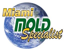 Get fast and accurate information and save on costly home inspectors. Mold Removal Mold Remediation Mold Inspection Mold Testing Miami Miami Mold Remediation Mold Remediation Miami South Florida Mold Assessment Free Mold Inspection Miami Mold Testing Miami Black Mold Testing Miami Mold