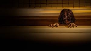 Watch The Grudge | Netflix