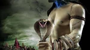 Siwa adalah dewa pertapa dan penyendiri, ia jarang turun ke dunia kecuali jika wisnu atau brahma minta bantuannya. Benarkah Ular Kobra Dalam Tradisi Hindu Adalah Pertanda Bencana Antvklik