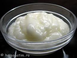 Rețetă de mujdei de usturoi cu iaurt. Mujdei Reteta Simpla
