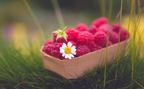 Latest Desktop Background Images Group 81 Also explore thousands of beautiful hd wallpapers and background images.