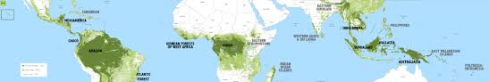 True to its name, these forests experience quite a bit of rain during certain seasons. The Rainforest Tropical Forest Facts Photos And Information