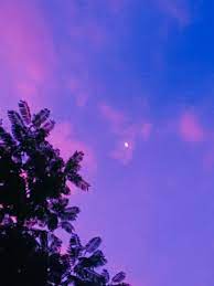 Maybe you would like to learn more about one of these? Ketika Langit Berwarna Ungu Apapun Warnanya Senja Akan Selalu Datang Ungu Latar Belakang Langit