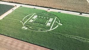 Crop circles 2013, Salinas, California, Chualar farm, USA