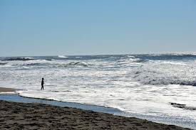 Most people encounter lincoln city while they are driving the 101 along the oregon coast, and it makes a great home base for exploring the area. 8 Unique Things To Do In Lincoln City Oregon Small Town Washington