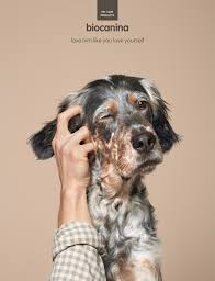 30 Best Animal Advertising Designs And Creative Ads Around The World Pet Advertising Pets Creative Advertising