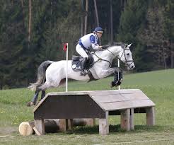 Reiten olympia 2021 ergebnisse : Strzegom Olympiasieger Auf Dem Weg Zum Nationenpreis Sieg Vielseitigkeit