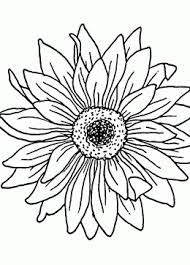 Sunflower Coloring Page For Kids Flower Coloring Pages Printables Free Sunflower Coloring Pages Flower Coloring Pages Bee Coloring Pages