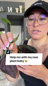 New plant mom here… please help me figure out what I need to do with this  poor plant baby 🥲 #plantmom #plantsoftiktok #fyp