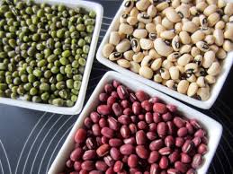 Image result for Phaseolus