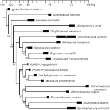Time Calibrated Cladogram Of Hadrosaurines Based On Prieto