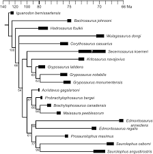 time calibrated cladogram of hadrosaurines based on prieto