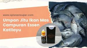 Umpan Jitu Ikan Mas Campuran Essen Katilayu Essen