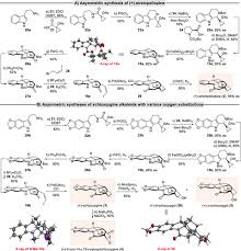 Image result for Schizozygia